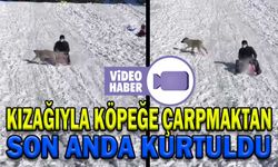KIZAĞIYLA KÖPEĞE ÇARPMAKTAN SON ANDA KURTULDU