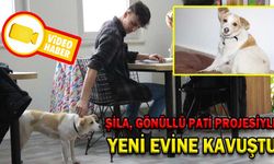 ŞİLA GÖNÜLLÜ PATİ PROJESİYLE YENİ EVİNE KAVUŞTU