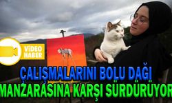 ÇALIŞMALARINI BOLU DAĞI MANZARASINA KARŞI SÜRDÜRÜYOR