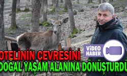 OTELİNİN ÇEVRESİNİ DOĞAL YAŞAM ALANINA DÖNÜŞTÜRDÜ