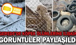 GEREDE’DE KÖPEK ÖLÜMLERİNE İLİŞKİN GÖRÜNTÜ PAYLAŞILDI