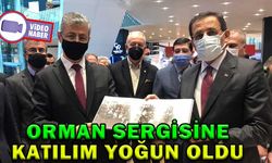 ORMAN SERGİSİNE KATILIM YOĞUN OLDU