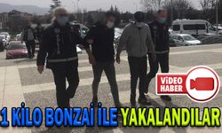 1 KİLO BONZAİ İLE YAKALANDILAR