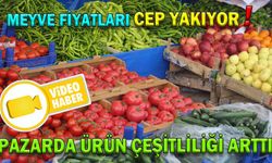 PAZARDA ÜRÜN ÇEŞİTLİLİĞİ ARTTI