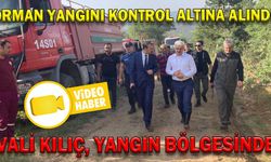 VALİ KILIÇ, YANGIN BÖLGESİNDE