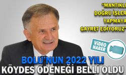 BOLU’NUN 2022 YILI KÖYDES ÖDENEĞİ BELLİ OLDU