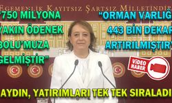 AYDIN, YATIRIMLARI TEK TEK SIRALADI