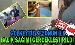 GÖLKÖY’DE SEZONUN İLK BALIK SAĞIMI GERÇEKLEŞTİRİLDİ