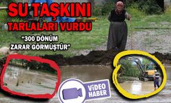 SU TAŞKINI TARLALARINI VURDU