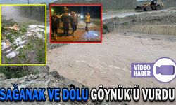 SAĞANAK VE DOLU GÖYNÜK’Ü VURDU