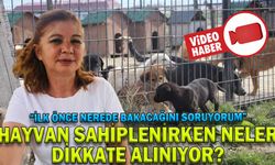 HAYVAN SAHİPLENİRKEN NELER DİKKATE ALINIYOR?