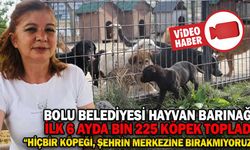 HAYVAN BARINAĞI İLK 6 AYDA BİN 225 KÖPEK TOPLADI