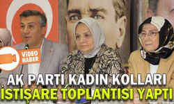 AK PARTİ KADIN KOLLARI İSTİŞARE TOPLANTISI YAPTI