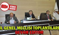 İL GENEL MECLİSİ TOPLANTILARI DEVAM EDİYOR