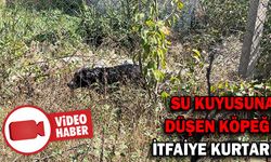 SU KUYUSUNA DÜŞEN KÖPEĞİ İTFAİYE EKİPLERİ KURTARDI