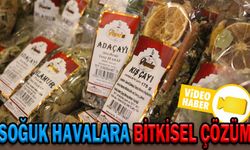 SOĞUK HAVALARA BİTKİSEL ÇÖZÜM