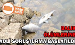BALIK ÖLÜMLERİNE ADLİ SORUŞTURMA BAŞLATILDI