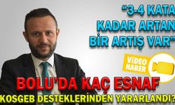 BOLU’DA KAÇ ESNAF KOSGEB DESTEKLERİNDEN YARARLANDI?