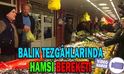 BALIK TEZGÂHLARINDA HAMSİ BEREKETİ