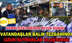 TEZGAHTA BALIK BOLLUĞU SÜRÜYOR