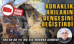 KURAKLIK ARILARIN DENGESİNİ DEĞİŞTİRDİ