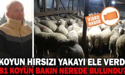 TEKNİK ADAMLARDAN MAÇ DEĞERLENDİRMESİ