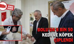 BOLU’DA 8 BİN 50 KEDİ VE KÖPEK ÇİPLENDİ