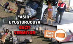 NARKOTİK KÖPEĞİ "ASIR" UYUŞTURUCUYA GEÇİT VERMİYOR