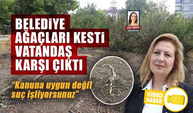 BELEDİYENİN AĞAÇ KESTİĞİ İDDİA EDİLDİ MAHALLELİ KARŞI ÇIKTI