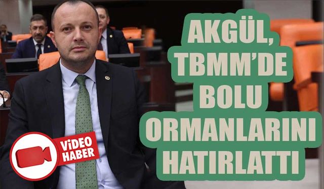 AKGÜL, TBMM’DE BOLU ORMANLARINI HATIRLATTI