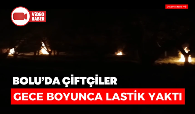 Bolu'da çiftçiler meyve ağaçlarını ateş yakarak koruyor
