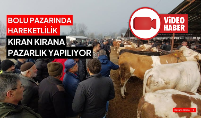 Hayvan pazarında hararetli pazarlık kamerada
