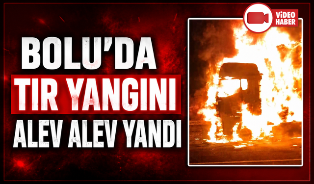 Anadolu Otoyolu'nda tavuk eti yüklü tırda çıkan yangın söndürüldü