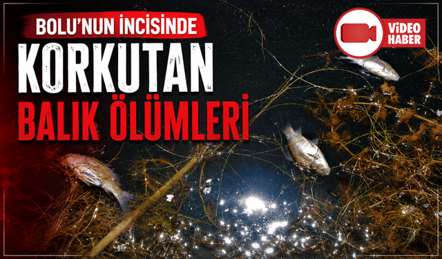 Doğa harikası Gölcük Tabiat Parkı’nda balık ölümleri yaşandı