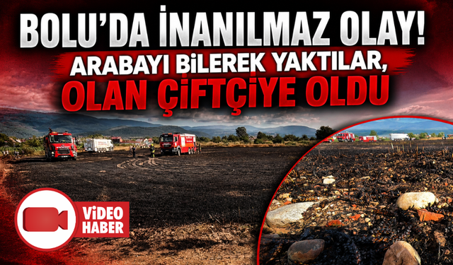 Demirini satmak için yaktıkları kanepe, 10 dönümlük tarlayı küle çevirdi