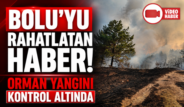 Bolu'daki orman yangını kontrol altına alındı