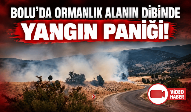 Bolu’da arazi yangını ormanlık alana ulaşmadan söndürüldü