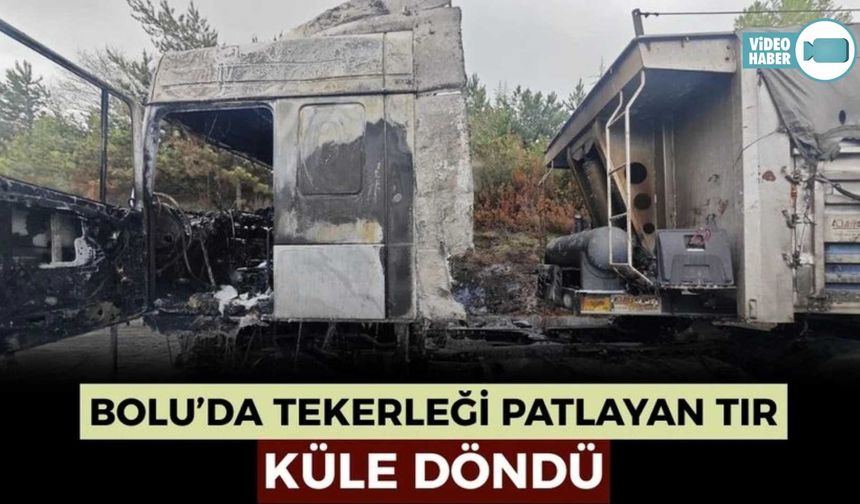 LASTİĞİ PATLAYARAK ALEV ALAN TIR KÜLE DÖNDÜ