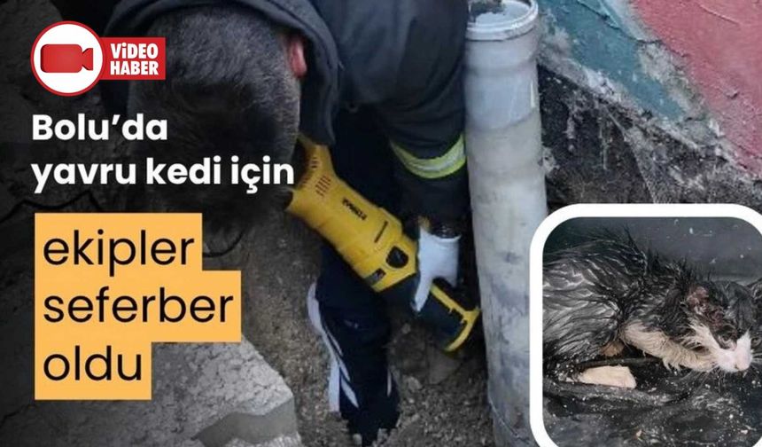 SU BORUSUNA SIKIŞAN YAVRU KEDİYİ İTFAİYE KURTARDI