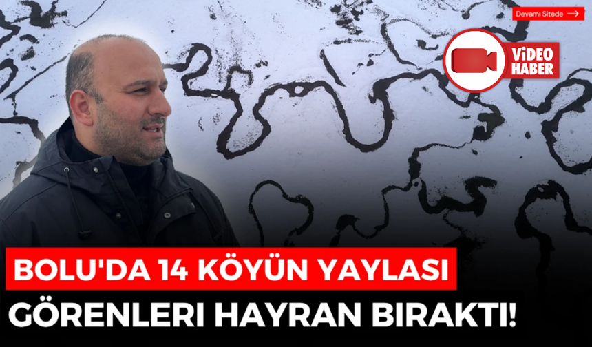 Bolu'da 14 köyün yaylasında mendereslerin görüntüsü mest etti