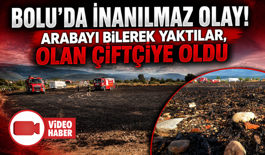 Demirini satmak için yaktıkları kanepe, 10 dönümlük tarlayı küle çevirdi