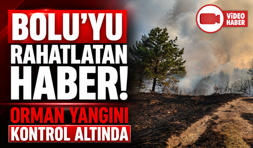 Bolu'daki orman yangını kontrol altına alındı