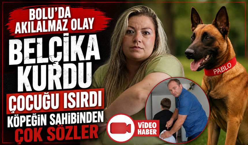 Bolu’da Belçika kurdu çocuğu kalçasından ısırdı, sahibinin sözleri pes dedirtti