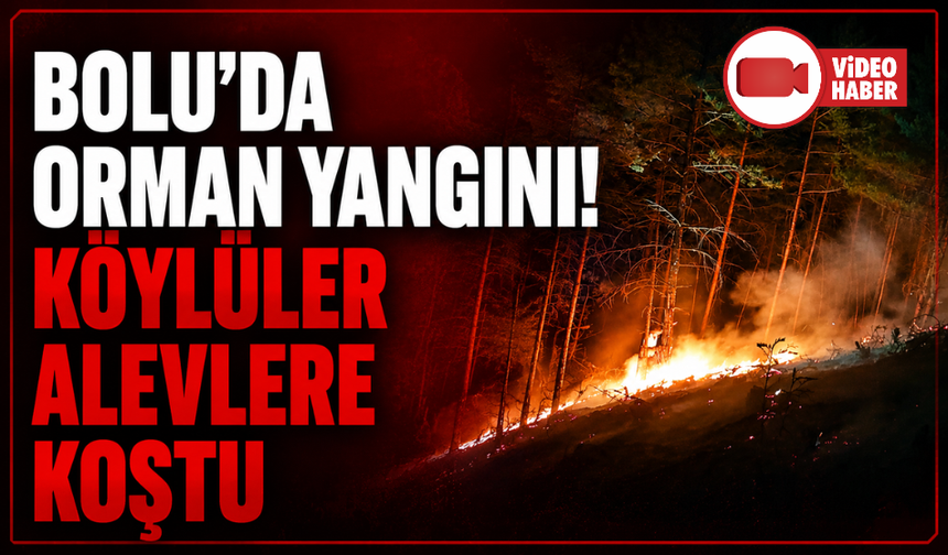 Bolu'da orman yangını paniği: Köylülerin hızlı müdahalesi faciayı önledi