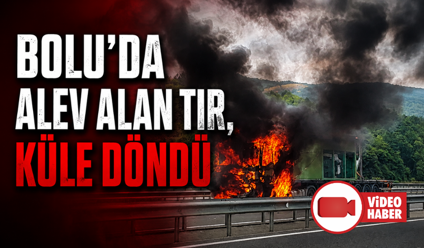 Bolu'da seyir halindeki tır alevlere teslim oldu