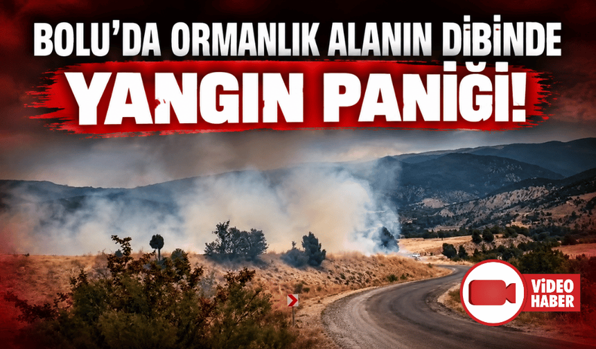 Bolu’da arazi yangını ormanlık alana ulaşmadan söndürüldü