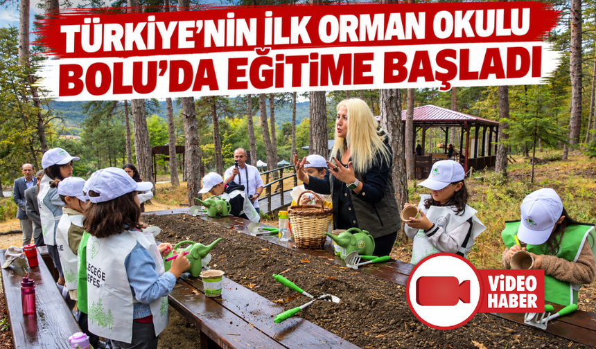Türkiye'de bir ilk: Bolu'da "Orman Okulu" eğitime açıldı
